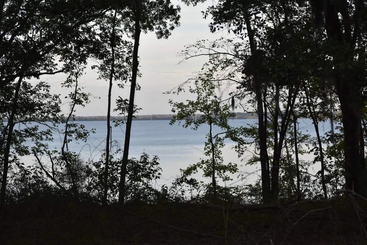 A peaceful view of the lake framed by trees and open sky, evoking a sense of tranquility and connection to nature. The scene captures the calm water, vibrant skies, and the beauty of the lakeside setting.