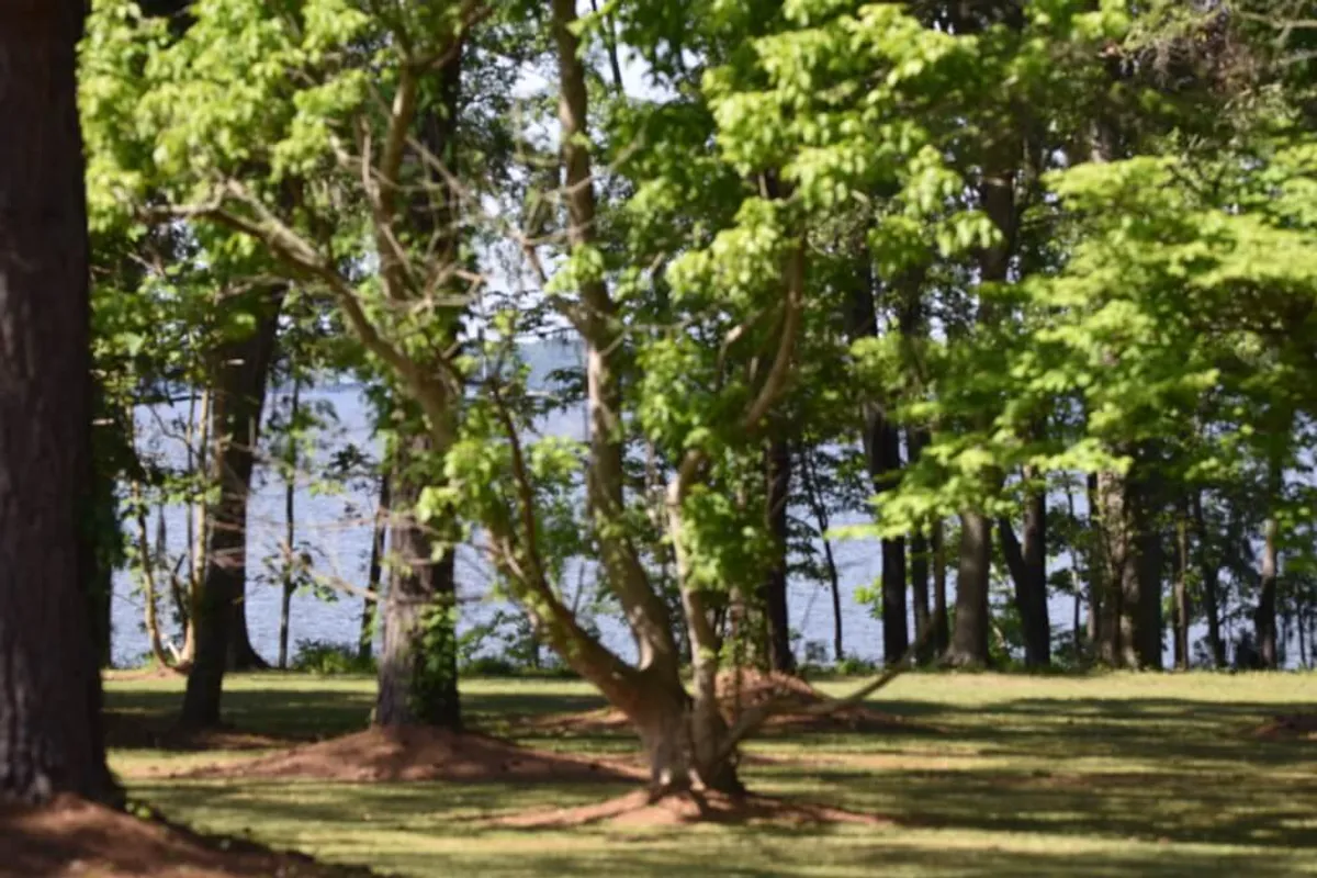 This exterior shot features lush green trees bordering a distant water body, setting a tranquil tone. The space is open for picnicking, nature walks, and birdwatching, with sunset hues that hint at opportunities for quiet moments and stargazing far from city lights.